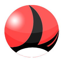 Hirundo Consulting